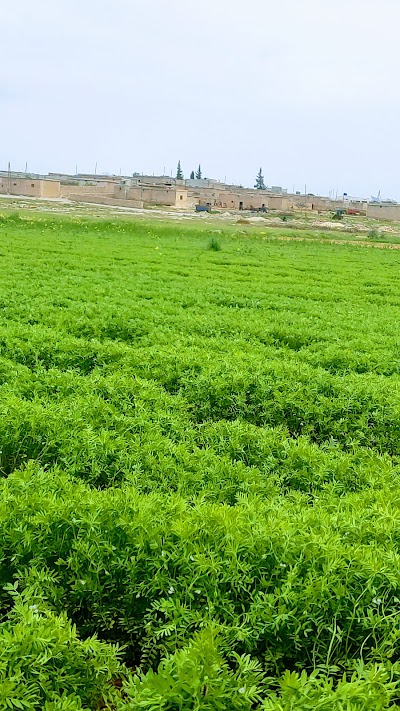 مدرسة عربوران