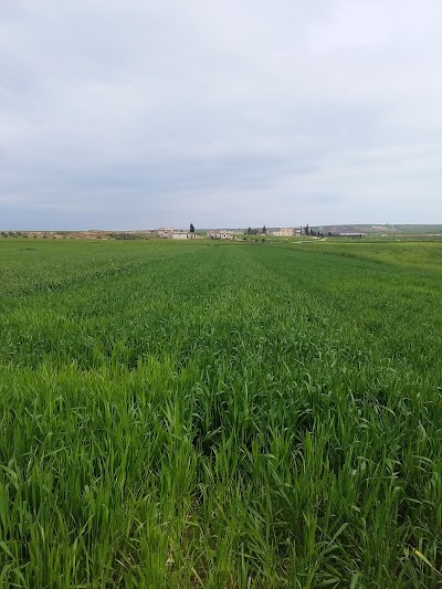 مدرسة العارونة