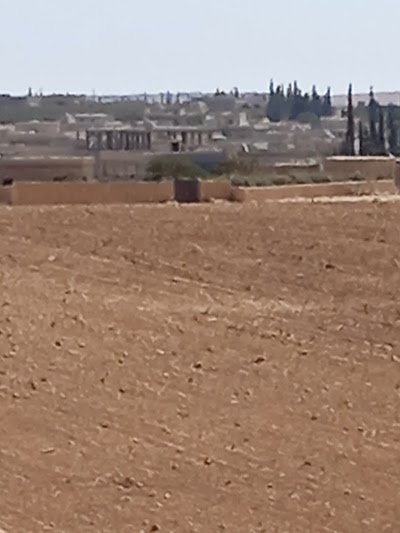 مدرسة البدر