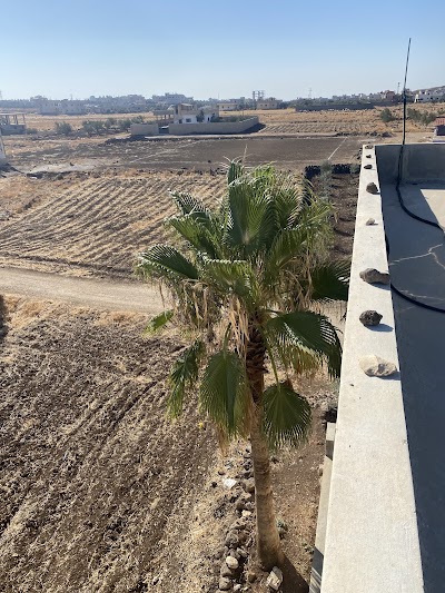 مدرسة الجميل الخاصة