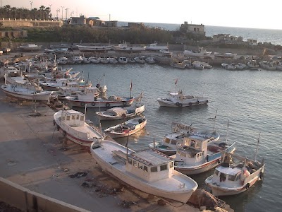 مدرسة الشهيد باسل الأسد