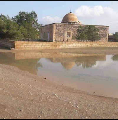 مدرسة بعاجة