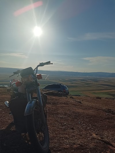 مدرسة حمزة عبد العال