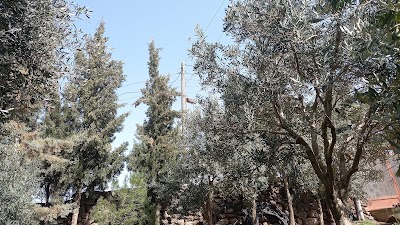 مدرسة نبع الصخر الأولى