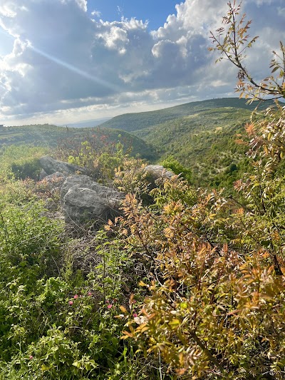 مدرسة صرنا