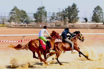 مدينة الفروسية