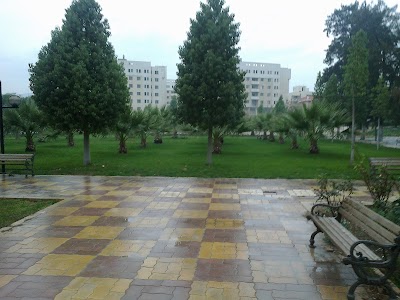 Medical Engineering Department