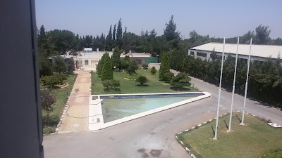 Medico Labs