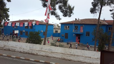 Mehmet Belkiz Buyukvelioglu Ilkogretim Okulu