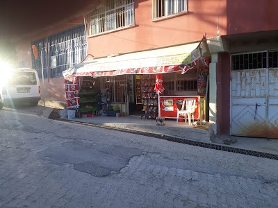 Mercan Gıda