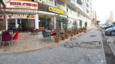Meşhur Mersin Atomcusu 2