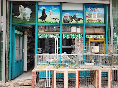 Mezopotamya