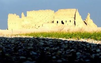 مجد النايف