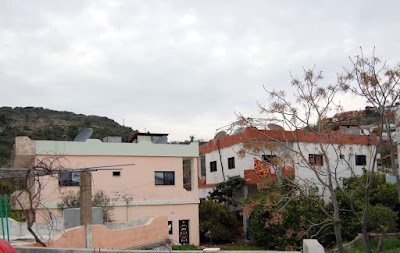 مجدلون البستان majdalon albostan