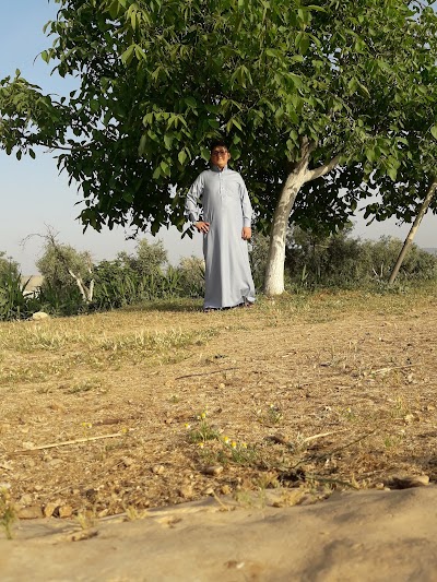 محلات أب حمدو السفاف