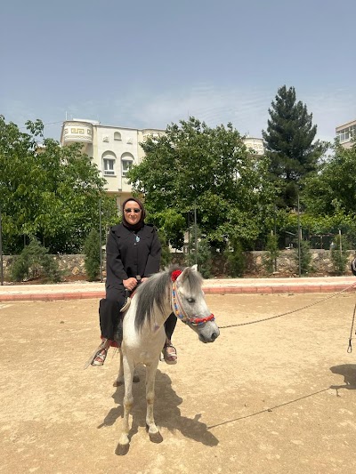 Midyat Bahçe at çiftliği
