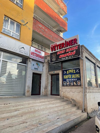 MİDYAT DEVA VETERİNER