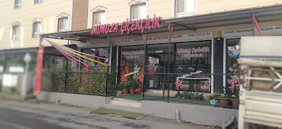Mimoza Çiçekçilik