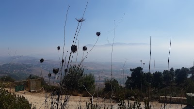 Misgav Am/Center