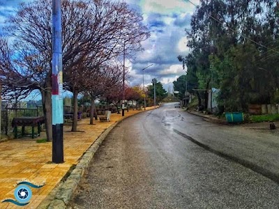 مقهى النميري