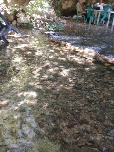 مقهى رأس العوجان ل أبو أحمد علي العبدو