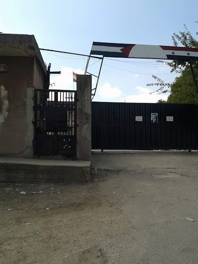 مخبز صافيتا