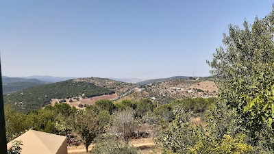 مخيم جبل برقش