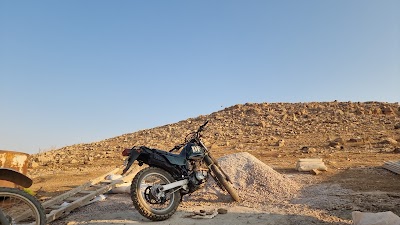 مقوص علي صافي