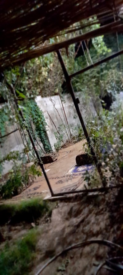 ممدوح مزعل الشديد