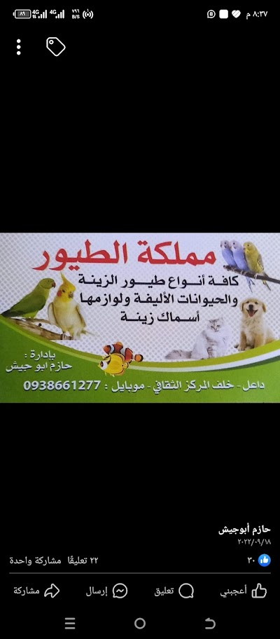 مملكة الطيور في داعل
