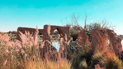 منتجع الدرجة