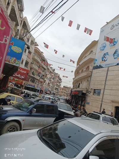 منظمة الرواد