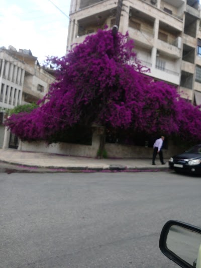 منظر طبيعي