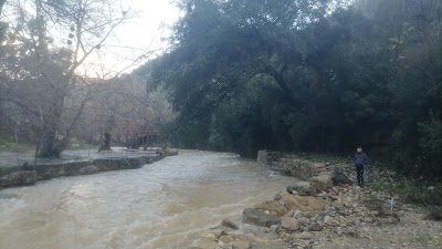 منتزه الأحلام العائلي