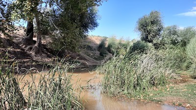 منتزه النهر