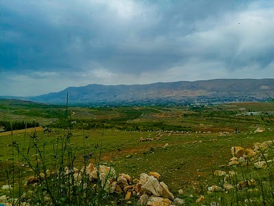 منتزه الوديع