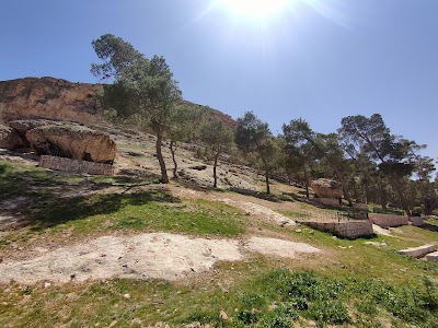 منتزه قرينة