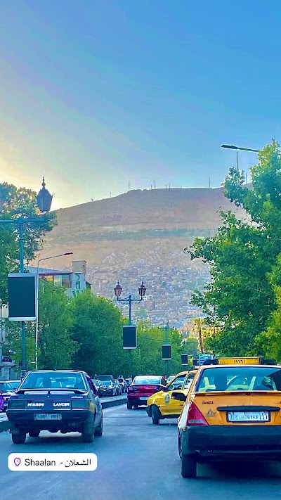 موقف نورا