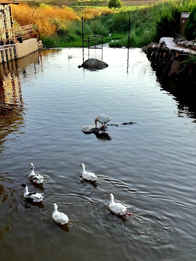 موسى بين النهرين