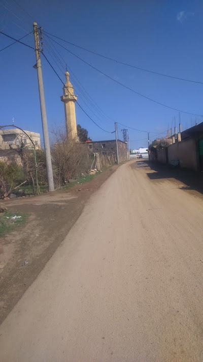 Mosque blind martyr Nabil