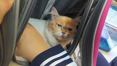 Mr Paws pets clinic