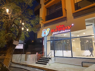 Mr.Krispy fried chicken