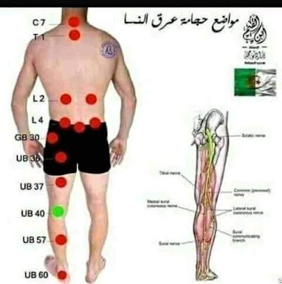 مركز الدكتور احمد ياسين التلاوي