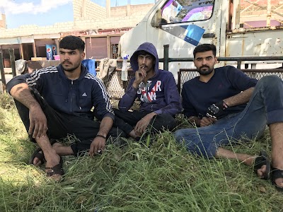 مركز دجلة