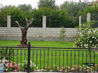 مركز ربى حمود