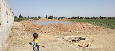 مسامك ابو عتيق