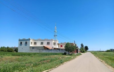 مسجد علي بن ابي طالب (السبيل)