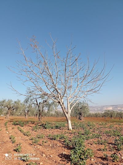 مسجد الدعوة