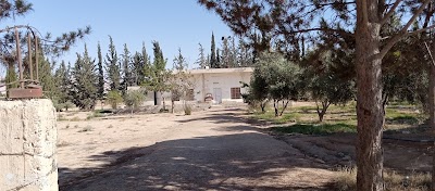 مسجد المنصورة