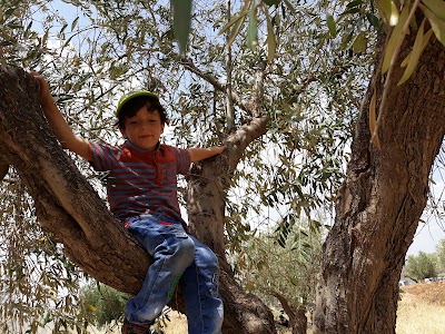 مسجد خالد ابن لوليد